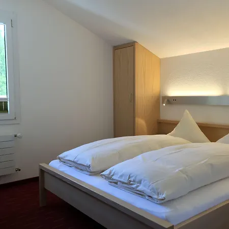 Park-hotel Saas- Fee 3*