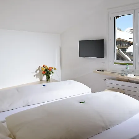 Park-hotel Saas- Fee サース フェー