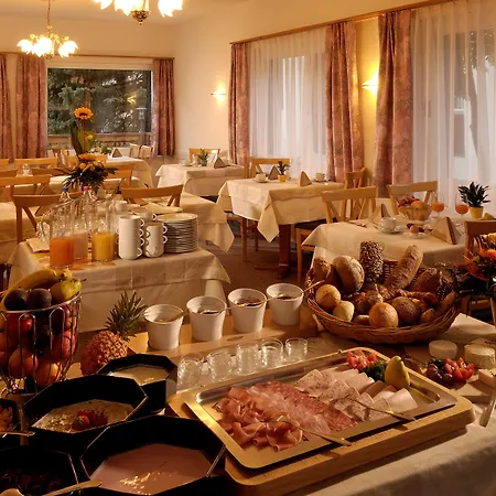 Park-hotel Saas- Fee 3* サース フェー