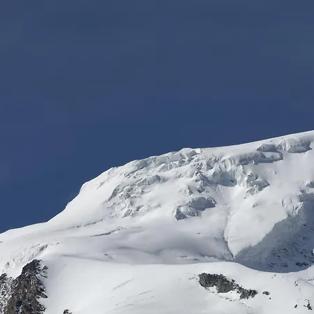 ホテル Park-hotel Saas- Fee 3*