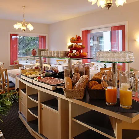 Park-hotel Saas- Fee 3* サース フェー