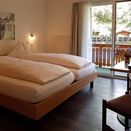 Park-hotel Saas- Fee 3*