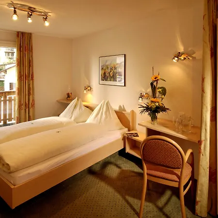 Park-hotel Saas- Fee