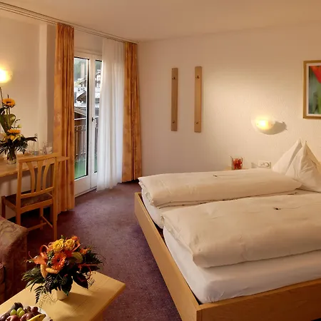 Park-hotel Saas- Fee ホテル 3*