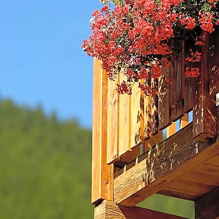 Hotel Park-hotel Saas- Fee 3*