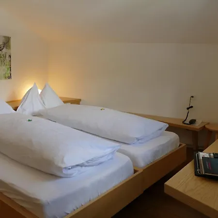 Park-hotel Saas- Fee サース フェー