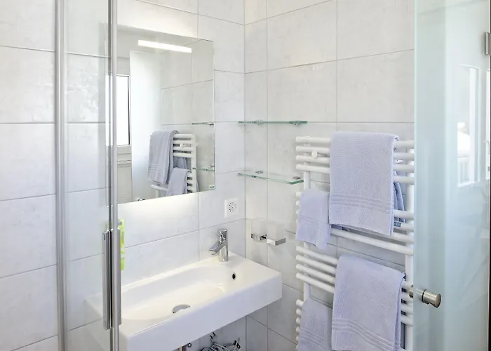 Hotel Park-hotel Saas- Fee 3*