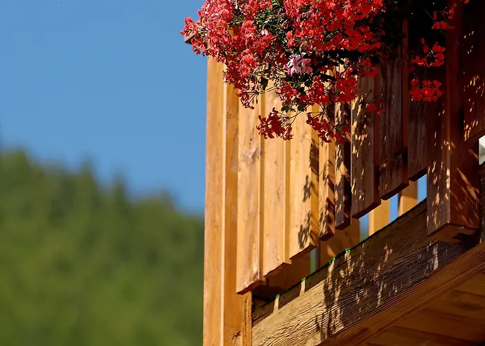 Park-hotel Saas- Fee 3*