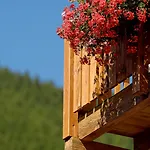 Park-hotel Saas- Fee 3*