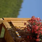 Park-hotel Saas- Fee