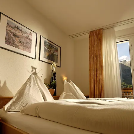 Park-hotel Saas- Fee Отель Зас-Фе