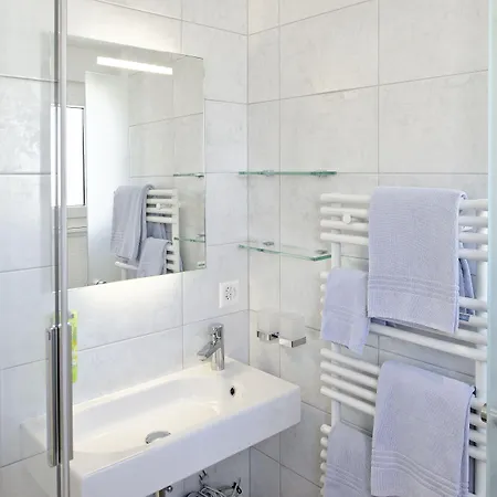 Отель Park-hotel Saas- Fee 3*