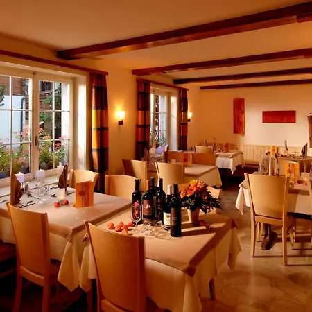 Park-hotel Saas- Fee Отель 3*
