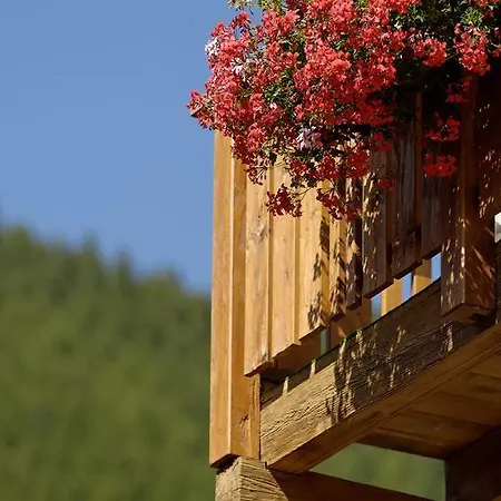 Park-hotel Saas- Fee 3*