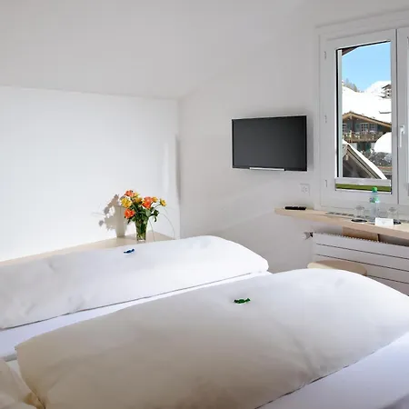 Park-hotel Saas- Fee Отель Зас-Фе